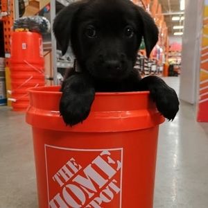 Meet your Posher, Alison